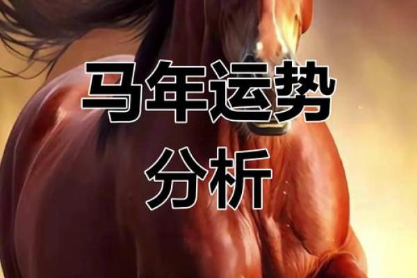 属马的今天的运势怎么样_属马人今日运势解析财运健康感情全预测 属马的今天的运势怎么样_属马人今日运势解析财运健康感情全预测