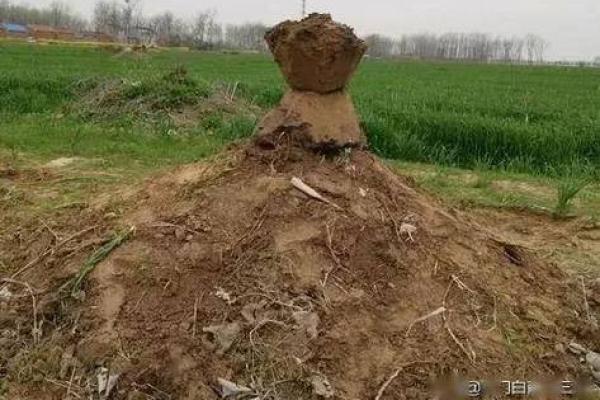 土窝里不能动土 土窝里不能动土