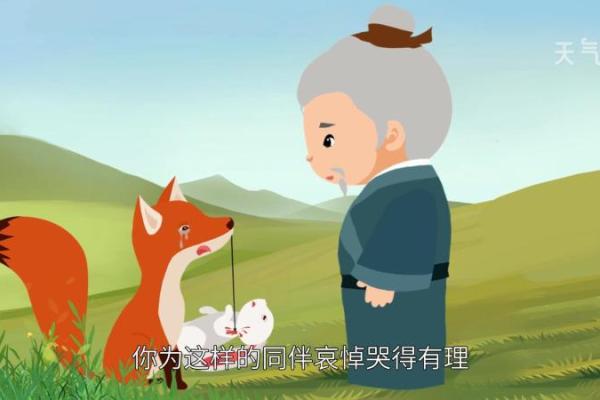 “兔死狐悲”是代表哪个生肖,兔死狐悲打一生肖答案解释释义落实 “兔死狐悲”是代表哪个生肖,兔死狐悲打一生肖答案解释释义落实