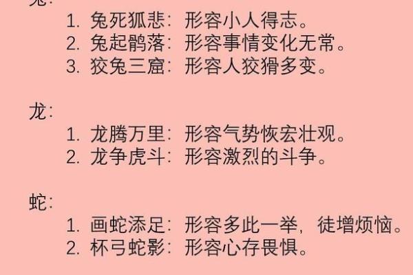 “兔死狐悲”是代表哪个生肖,兔死狐悲打一生肖答案解释释义落实 “兔死狐悲”是代表哪个生肖,兔死狐悲打一生肖答案解释释义落实