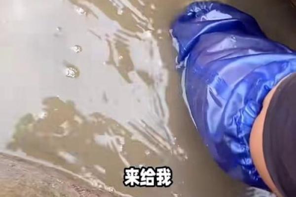 梦见自己抓鱼 梦见自己抓鱼