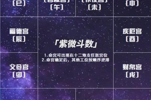 2025年4月1日午时男命紫微斗数全解盘