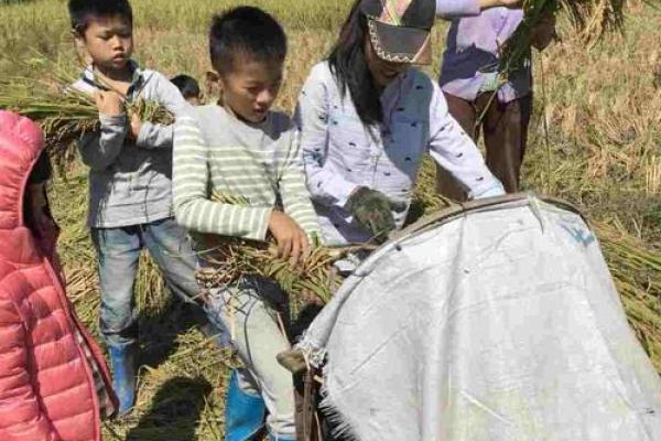 “头顶蓝天脚踏地”是什么生肖动物,广州荔湾“早茶传播链”增至11人答案解释释义落实 “头顶蓝天脚踏地”是什么生肖动物,广州荔湾“早茶传播链”增至11人答案解释释义落实