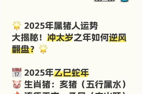 59年出生属猪的今年命运 59年属猪人2023年运势解析命运转折与机遇并存