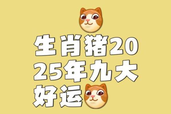 2025年属猪2007年生的全年运程 2007年属猪17岁有一灾 2025年属猪2007年生的全年运程 2007年属猪17岁有一灾