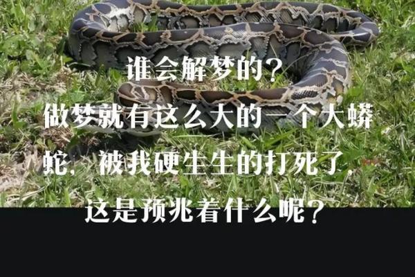 梦见蛇是咬自己什么预兆 梦见蛇是咬自己什么预兆
