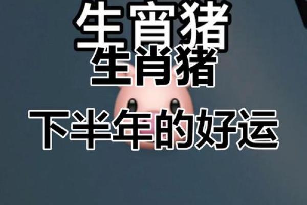 1983年属猪今日财运_1983年属猪今日财运查询 1983年属猪今日财运_1983年属猪今日财运查询