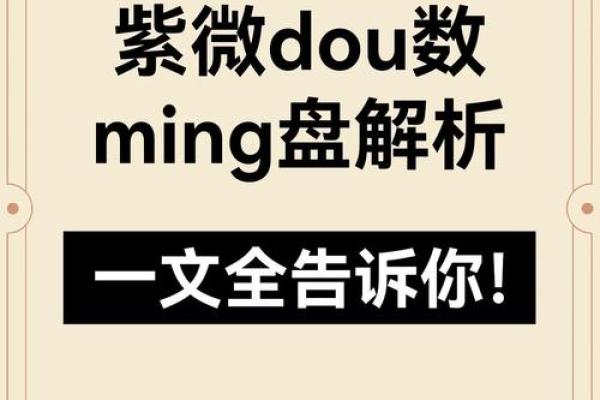 2025年4月4日亥时男命紫微斗数全解盘