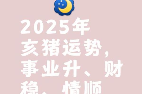 71年属猪人2025年幸运色揭秘助你运势飙升 71年属猪人2025年幸运色揭秘助你运势飙升