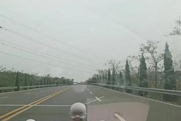 “穷途末路”打一个生肖动物,穷途末路代表什么生肖答案解释释义落实 “穷途末路”打一个生肖动物,穷途末路代表什么生肖答案解释释义落实