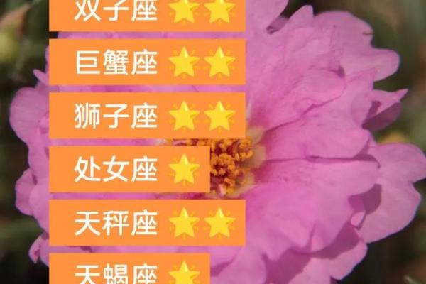 金牛座今日运势星座运势 金牛座今日运势星座运势