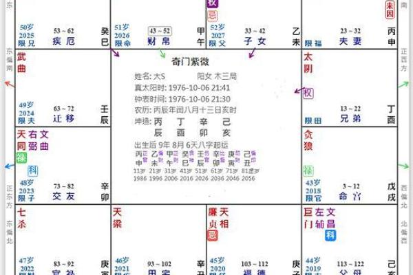 2025年4月9日午时男命紫微斗数全解盘