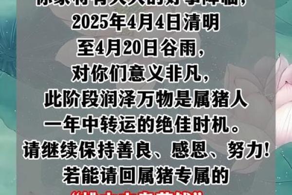 2025年属猪人的全年运势如何_2025年属猪人的每月运势详解 2025年属猪人的全年运势如何_2025年属猪人的每月运势详解