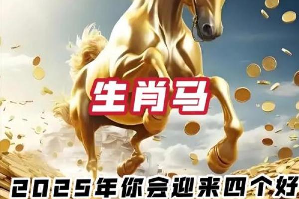 1954年属马人2025年运势详解吉凶预测与建议