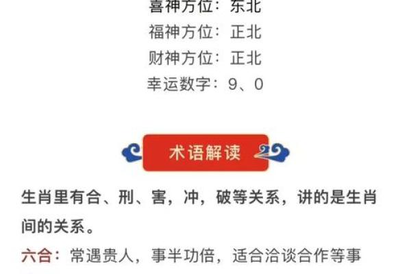 2024年属马人66岁全年运势解析运程吉凶与注意事项