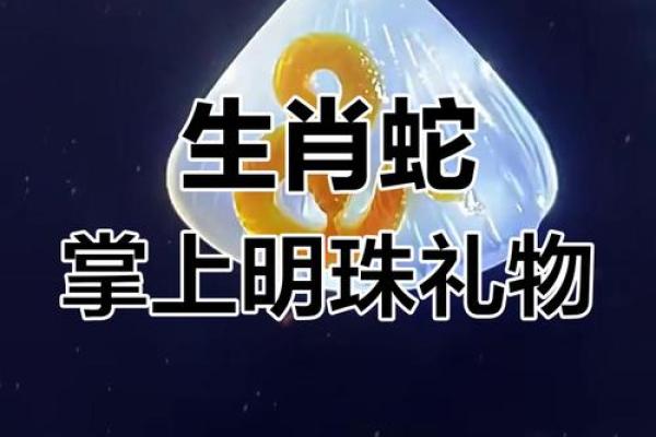 掌上明珠是什么生肖(掌上明珠是什么生肖和数字)