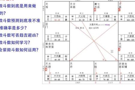 2025年4月1日巳时男命紫微斗数全解盘
