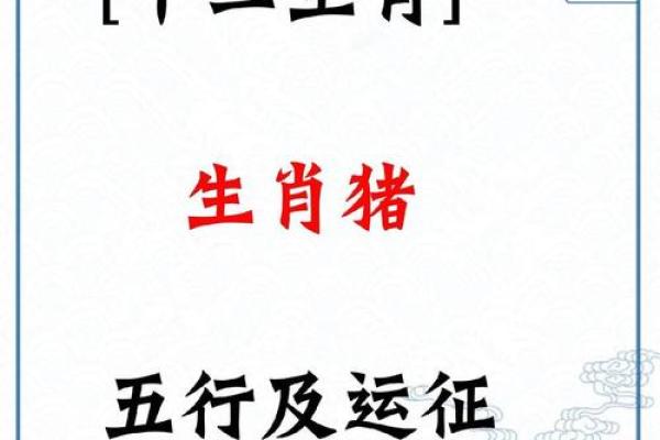2025属猪运势及运程详解大全_83年属猪2025 年的运气
