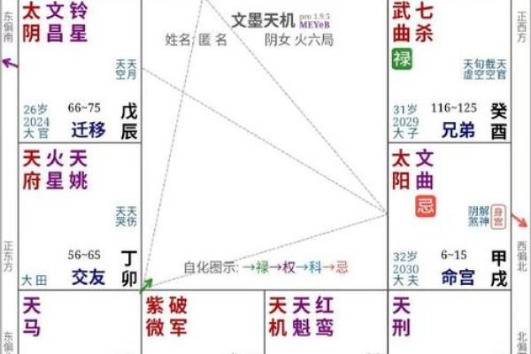 2025年4月17日寅时女命紫微斗数全解盘 2025年4月17日寅时女命紫微斗数全解盘