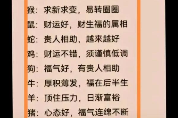 “见贤思齐”代表什么生肖，见贤思齐打一动物答案解释释义落实