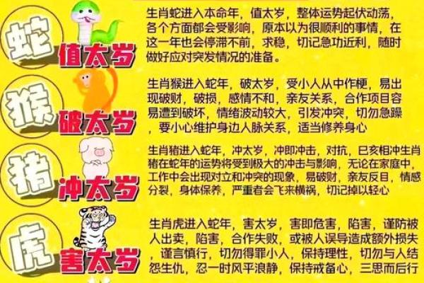 “十羊九牧”打一准确生肖,十羊九牧是什么生肖答案解释释义落实 “十羊九牧”打一准确生肖,十羊九牧是什么生肖答案解释释义落实