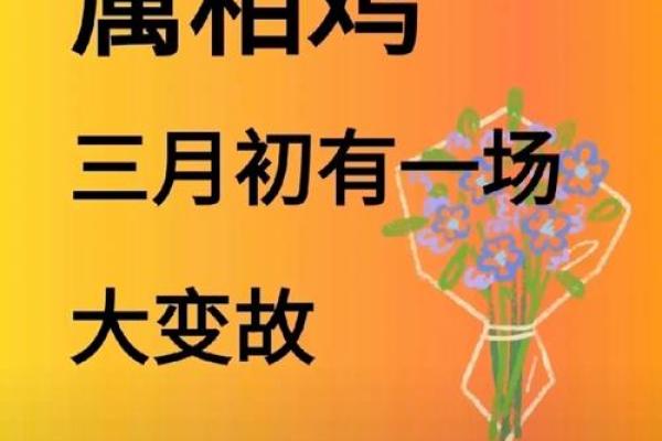 如日中天什么生肖(如日中天的是什么生肖) 如日中天什么生肖(如日中天的是什么生肖)