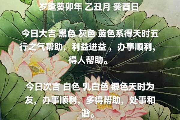 五行穿衣12月6日分享(五行穿衣每日分享2020年12月6日)