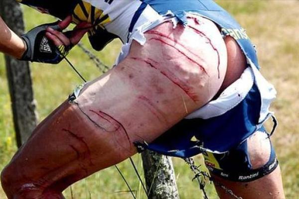 “皮开肉绽”是什么生肖动物，皮开肉绽是什么生肖动物答案解释释义落实