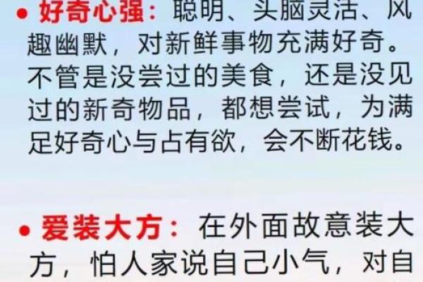 “人财两失”打一个生肖动物,人财两失什么生肖答案解释释义落实 “人财两失”打一个生肖动物,人财两失什么生肖答案解释释义落实