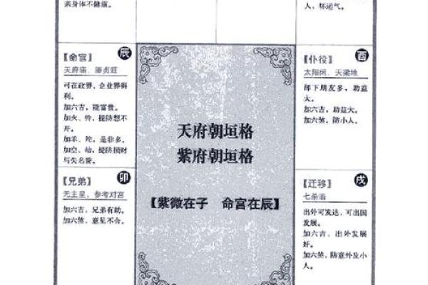 2025年4月12日申时男命紫微斗数全解盘