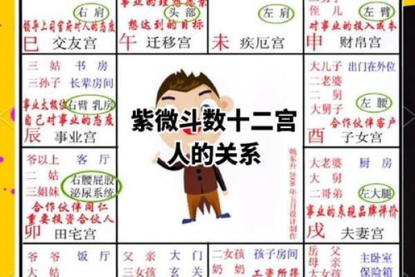 2025年4月17日未时女命紫微斗数全解盘 2025年4月17日未时女命紫微斗数全解盘