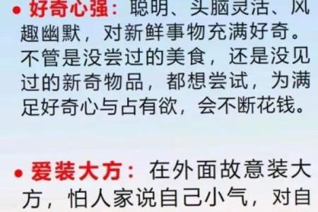 “人财两失”打一个生肖动物，人财两失什么生肖答案解释释义落实