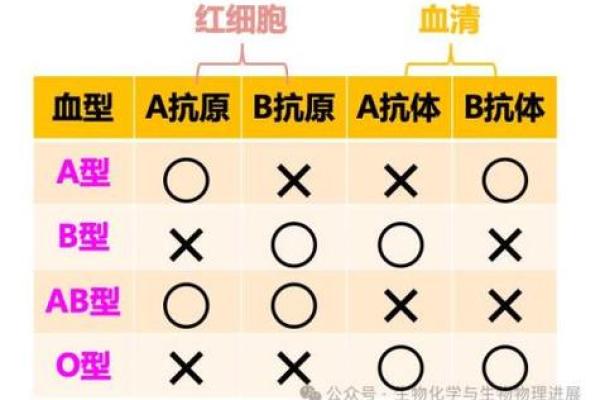 b十血型的优缺点 b十血型的优缺点