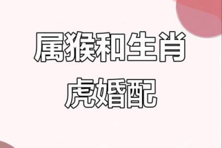 1962年属虎人和什么属相婚配好,1962年属虎的人婚姻配对详解