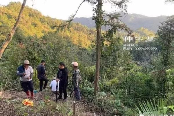 种生基之吉日 种生基之吉日