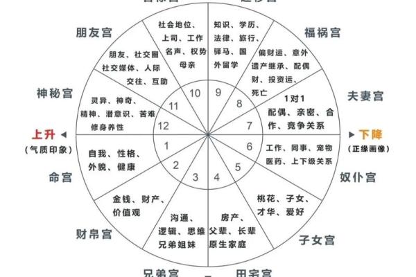 小学科学星象和星座一样吗 小学科学星象和星座一样吗