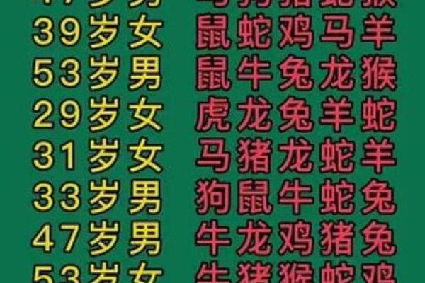最准的12生肖配对表男龙女兔马 属相婚配男龙女兔 最准的12生肖配对表男龙女兔马 属相婚配男龙女兔