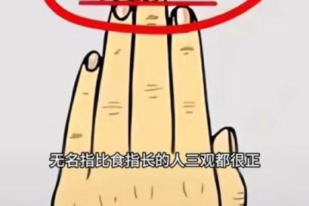 测试:食指无名指的长短决定你的一生,你的运势如何?