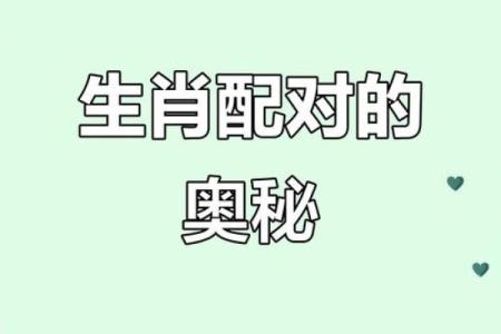 属羊双子座B型血男女性格分析和配对