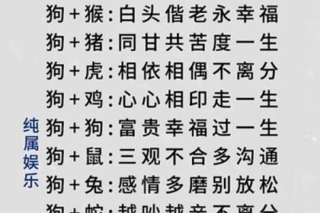 狗的属相配对婚配表
