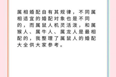 兔鼠生肖配对姻缘 兔与鼠的婚姻相配吗