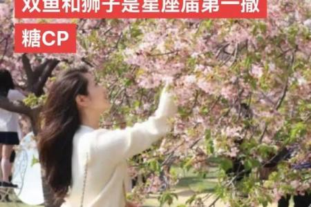 狮子座最佳配对第一名,男双鱼座女狮子座配对指数