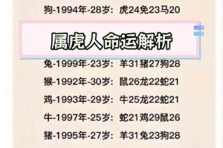 1998女虎婚姻配对 与属马相处融洽生活幸福