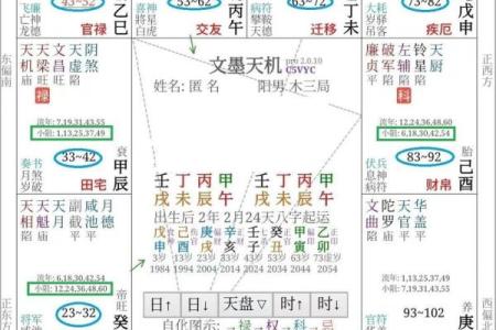 紫薇斗数紫薇化忌