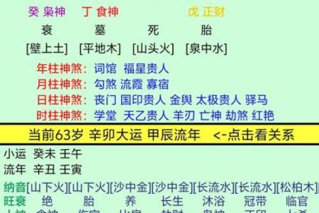 八字亥水是什么水,八字亥水是什么意思