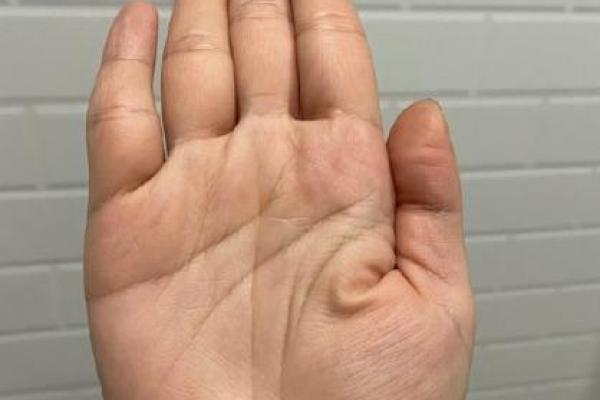 手相算命:川字掌的性格特点 手相算命:川字掌的性格特点