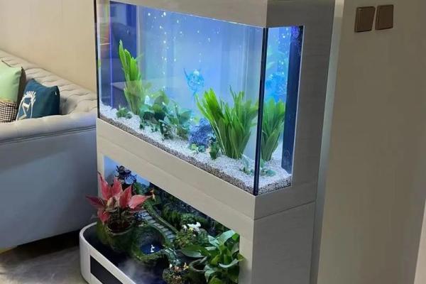 房子东面放鱼缸的风水 房子东面放鱼缸的风水