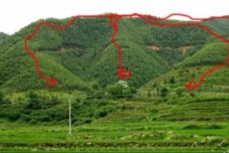 坟地风水怎么看，教你看出坟地好风水