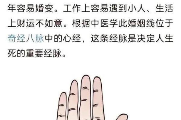 女性手掌纹算命图解婚姻 女性手掌纹算命图解婚姻