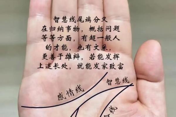 手相算命,对着内容看你的手相 手相算命,对着内容看你的手相